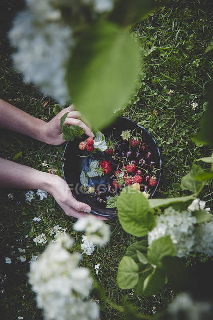 Свіжі стиглі ягоди в мисці — стокове фото