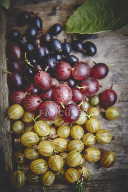 Fresh ripe berries — Stock Photo