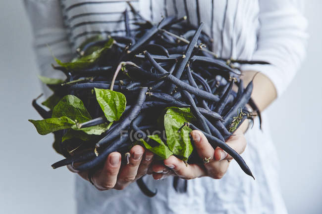 Hands holding unpeeled black peas — Stock Photo