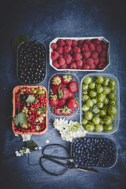 Fresh ripe organic berries — Stock Photo