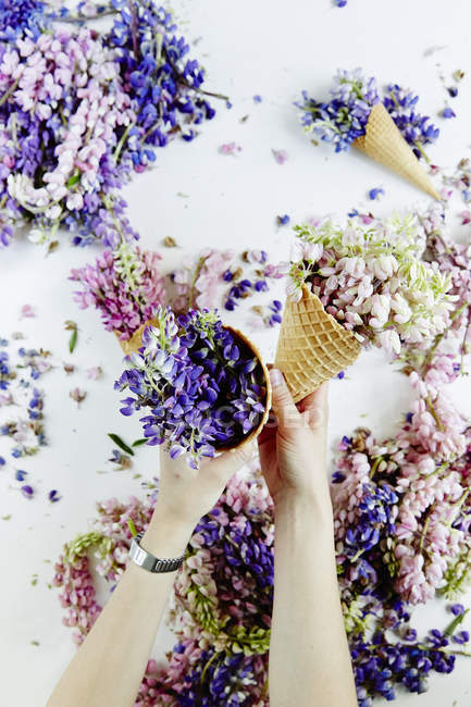 Красиві квіти у вафельних конусах — стокове фото