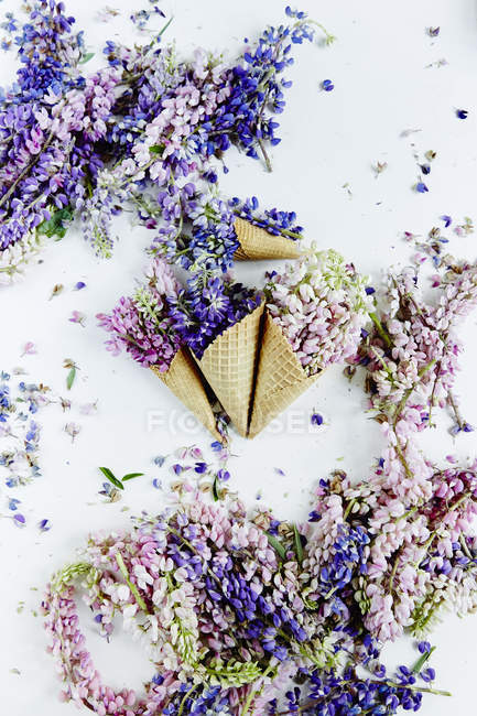 Beautiful flowers in waffle cones — Stock Photo