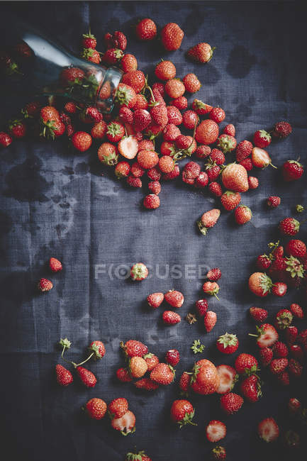 Fresas silvestres frescas maduras - foto de stock