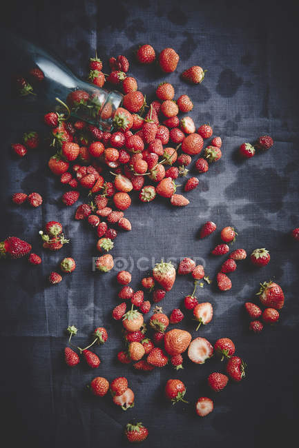 Fragole selvatiche fresche mature — Foto stock