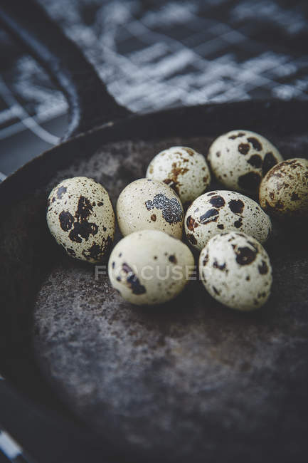 Quail eggs in shells on frying pan — Stock Photo