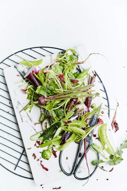 Salada de legumes orgânicos frescos — Fotografia de Stock