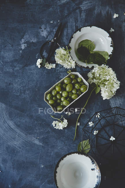Fresh gooseberries and white flowers — Stock Photo