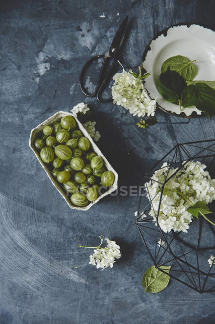 Grosellas frescas y flores blancas - foto de stock