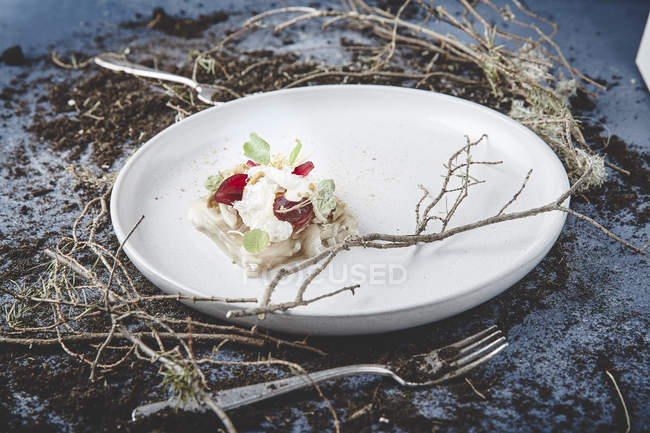 Delizioso antipasto su piatto bianco — Foto stock