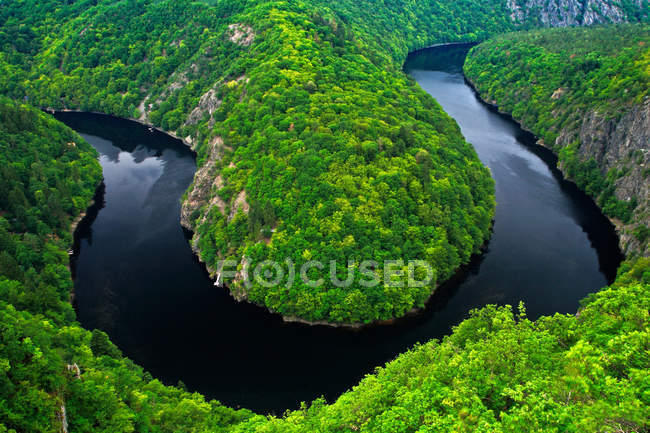 River canyon with water and forest — Stock Photo