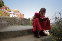Criança monge iniciante estudando — Fotografia de Stock