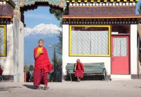 Young monks in sunlight outside temple — Stock Photo