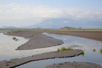 Пейзажное сафари в Танзании, Африка . — стоковое фото