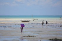 Люди на пляже острова Занзибар — стоковое фото