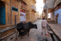 Einheimischer in Jaisalmer. Indien. rajasthanischer Staat — Stockfoto