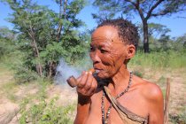 San bushman куріння — стокове фото