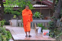 Monk near Wat Xieng Thong temple — Stock Photo