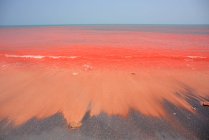 Acqua di mare rossa dell'isola di Hormuz — Foto stock