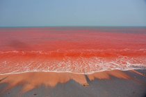 Acqua di mare rossa dell'isola di Hormuz — Foto stock