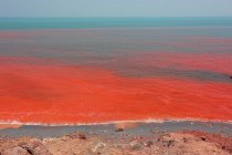 Eau de mer rouge de l'île d'Hormuz — Photo de stock