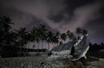 Blick auf Varkala Strand und Palmen. Kerala. Indien bei Nacht — Stockfoto