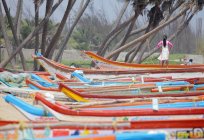 Boats on  Beach, INDIA ,Puducherry (Pondicherry), Union Territory — Stock Photo