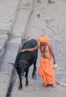 Hombre indio con vaca en la calle en la India - foto de stock