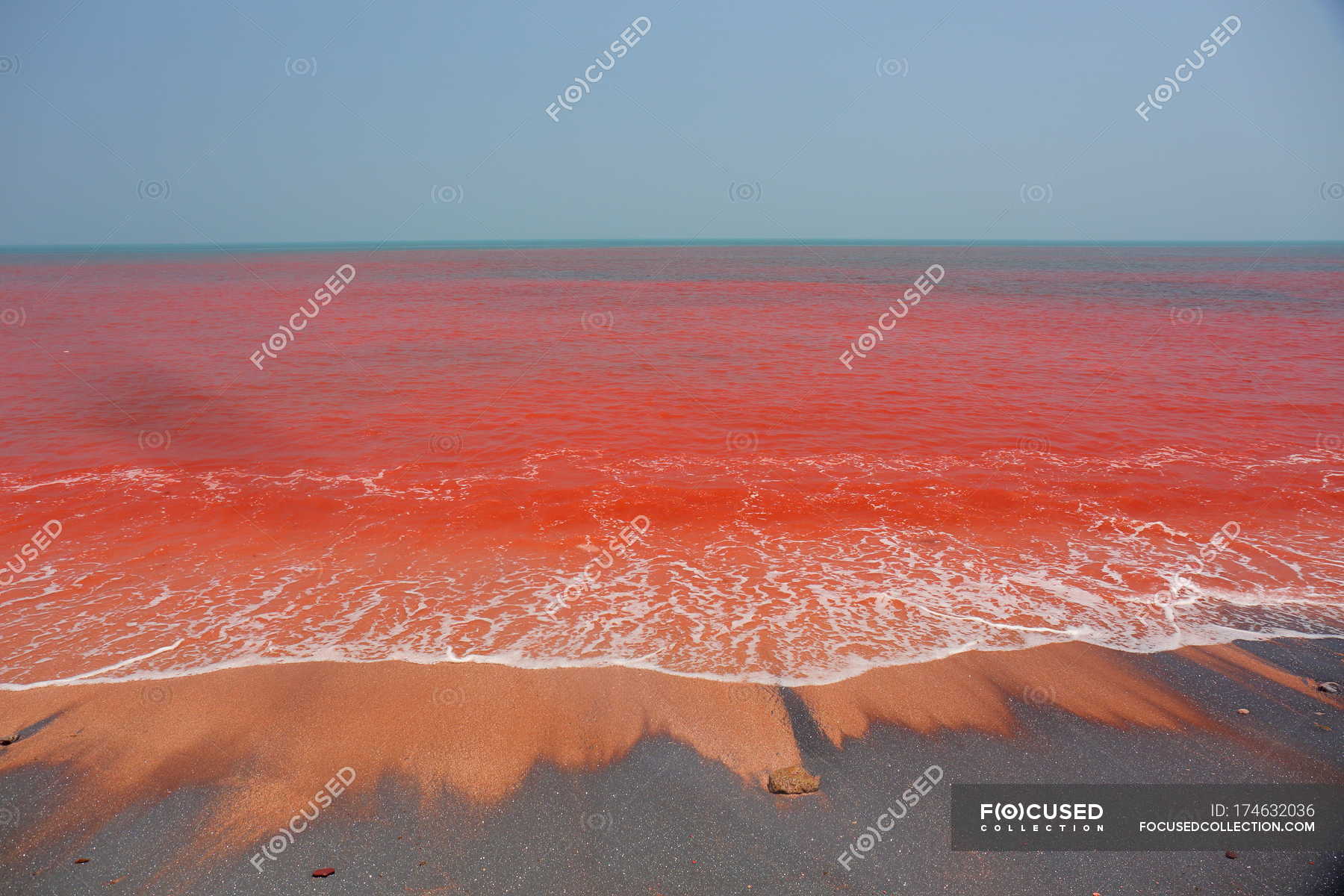 Красная вода в море