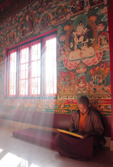 Молодой монах сидит и читает — стоковое фото