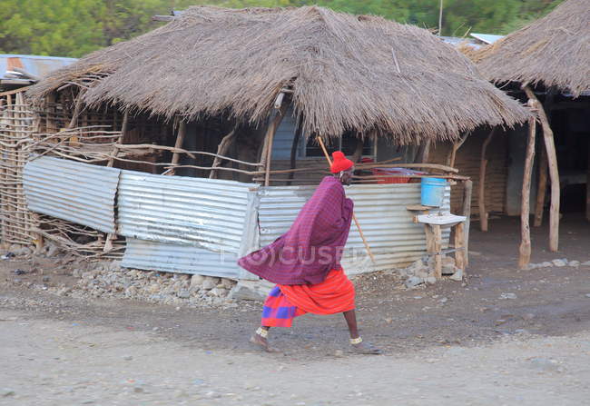 Стадо молодых масаев в Танзании, Африка . — стоковое фото