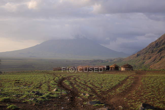 Landscape safari in Tanzania, Africa. — Stock Photo