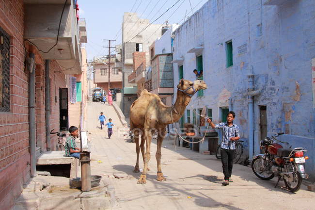Street scenes, Jodhpur, India — Stock Photo