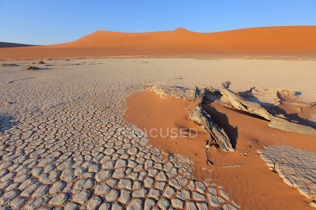 Dunes de sable - Sossusvlei — Photo de stock