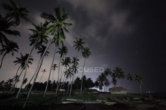 Vue sur la plage de Varkala et les palmiers. Kerala. Inde la nuit — Photo de stock