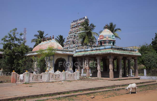 Bellissimo stato Tamilnadu, Mamallapuram, INDIA — Foto stock