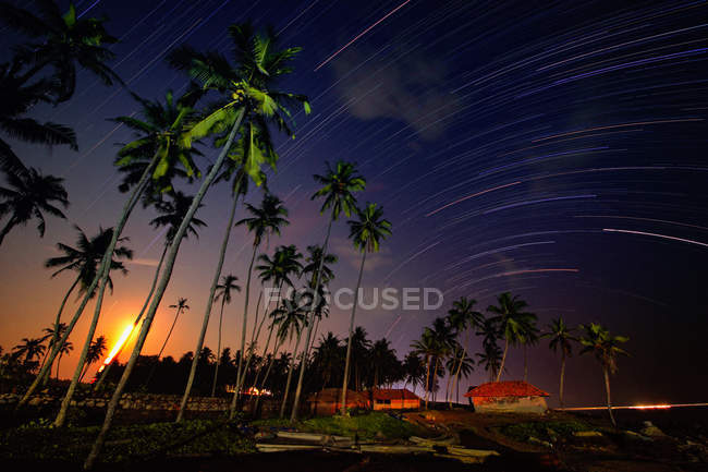 View of Varkala beach and palm trees. Kerala. India at night — Stock Photo