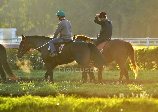 Cavalli da corsa e cavalieri la mattina presto su un ippodromo — Foto stock