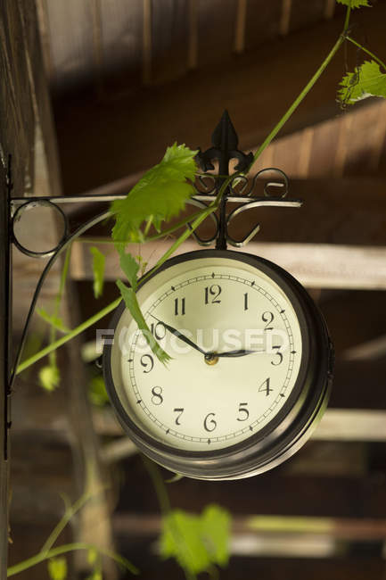 Relógio e folhas ao ar livre — Fotografia de Stock