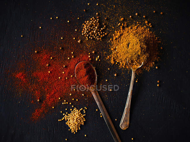 Paprika e curry in cucchiai — Foto stock