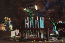 Magic flasks with plants and smoke — Stock Photo