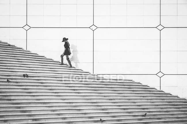 Woman walking up the stairs — Stock Photo