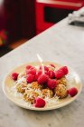 Тарілка з десертом і свіжою малиною — стокове фото