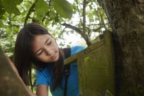 Chica revisando una caja de anidación en un tronco de árbol . - foto de stock