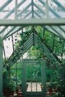 Wooden frame conservatory with plants. — Stock Photo