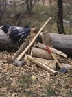 Werkzeug und gehacktes Brennholz — Stockfoto