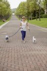 Японская женщина выгуливает двух собак — стоковое фото