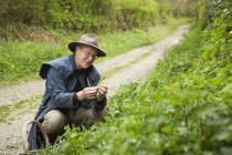 Man foraging for edible, plants and hedgerow — Stock Photo