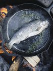 Рыба в сковородке над огнем . — стоковое фото