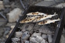 Pesce alla griglia su un barbecue — Foto stock