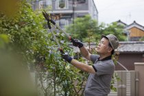 Uomo che lavora in giardino — Foto stock